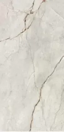 Фото Керамогранит Imola Ceramica Gre Ro6 12Rm 60x120 Италия