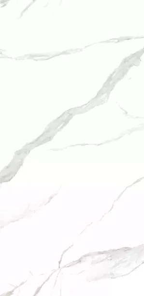 Фото Керамогранит Statuario Mat 120x240 (NTT3009M) Китай