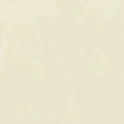 Фото Керамогранит Ennface ENCLR6081MT2020 Corsica Beige Matt 200х200х8 Индия