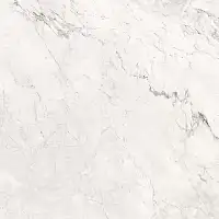 Фото Керамогранит AE CAL6 120 RM 120x120