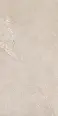 Керамогранит Dado Ceramica DNWS201 New Stone Daino 60x120