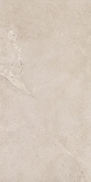 Фото Керамогранит Dado Ceramica DNWS201 New Stone Daino 60x120 Италия