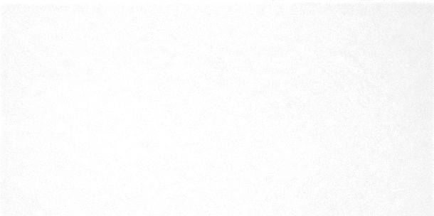 Фото Плитка Monocolor 249x500 (TWU09MNR020) Россия