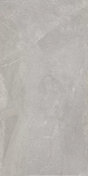 Фото Керамогранит Element Grains Mould 60x120 (BHW-0006) Китай