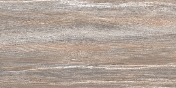 Фото Плитка Esprit Wood 250x500x9 (WT9ESR21) Россия
