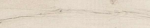 Фото Керамогранит Dune 189003 Quercus Betulla 22x120 Испания