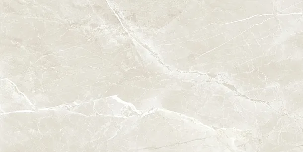 Фото Керамогранит Prissmacer Fior Di Bosca Sand Matt 60x120 Испания