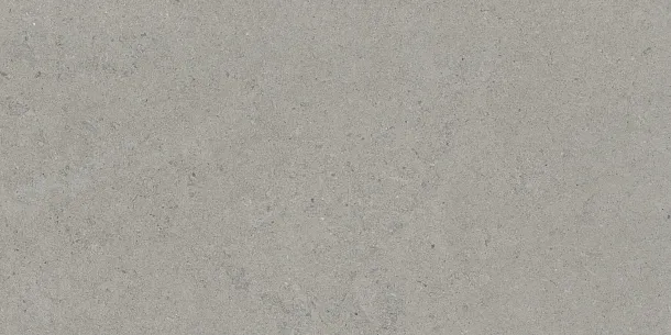 Фото Керамогранит Tau Ceramica Calcare Silver 60x120 Испания