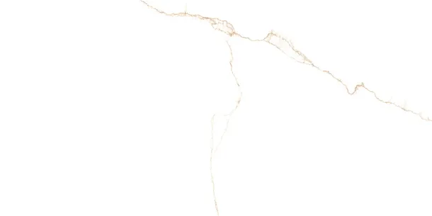 Фото Керамогранит Prissmacer Bianco Mare Gold Luxglass Rect 60x120 Испания