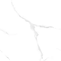 Фото Керамогранит Protiles Snow PT60J906 Marble Carving 600х600х9