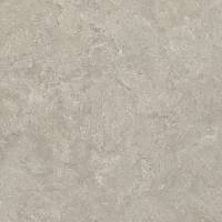 Фото Керамогранит RC Shell BG 60х60 (8167)
