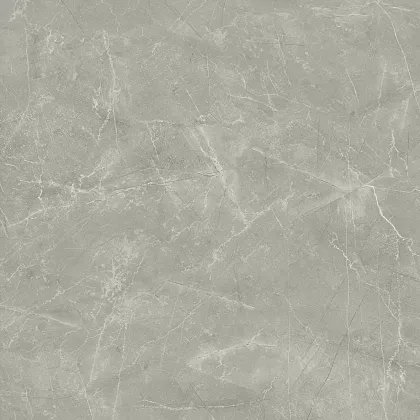 Фото Керамогранит Wolf Grey Сатинированный 80х80 Россия