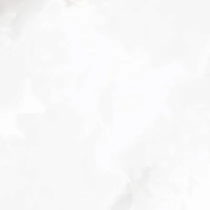 Фото Керамогранит Laparet Onyx Blanco Pro Светло-Серый Матовый R11Soft 60Х60 Индия