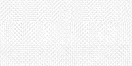 Фото Плитка DW9LXR00 Luxury Blanco Декор 25х50