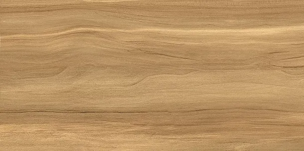 Фото Плитка WT9POT21 Portland Dark 249*500*7.5 Россия