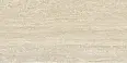 Керамогранит Argenta Siena Toscano Matt 60x120