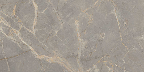 Фото Керамогранит BR03 Bernini Grey полированный 60x120x10 Россия