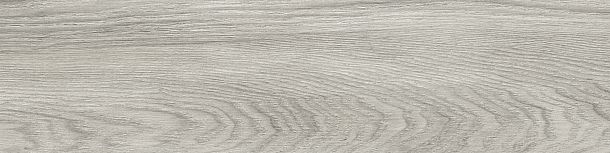 Фото Керамогранит Aspen Graphite sugar-эффект 151x602 (GP1560ASP25) Россия