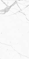 Керамогранит Marmi Classici Bianco Calacatta 120x60 luc. rett. (PL612527) Фото Керамогранит Marmi Classici Bianco Calacatta 120x60 luc. rett. (PL612527)