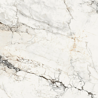 Фото Керамогранит AE PAO6 120 RM 120x120