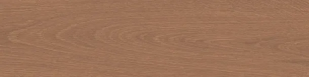 Фото Керамогранит Kerama Marazzi Аргания коричневый матовый 9,9x40,2x0,8 (KM1040G0031N) Россия