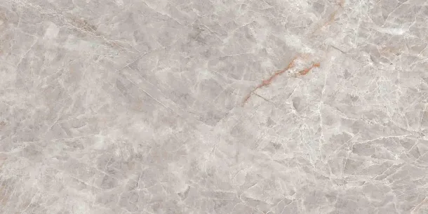 Фото Керамогранит Tubadzin Root grey Mat 119.8x59.8 Польша