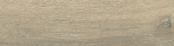 Фото Керамогранит DW02 Dream Wood Latte Неполированный 14,6x60x8 Россия