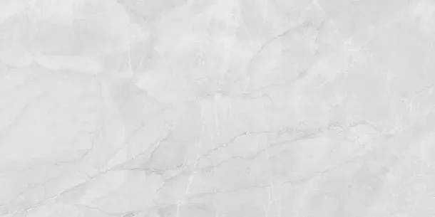 Фото Керамогранит Laparet LP6012G0231R Berna Silver светло-серый матовый 59,5х119,1 Россия