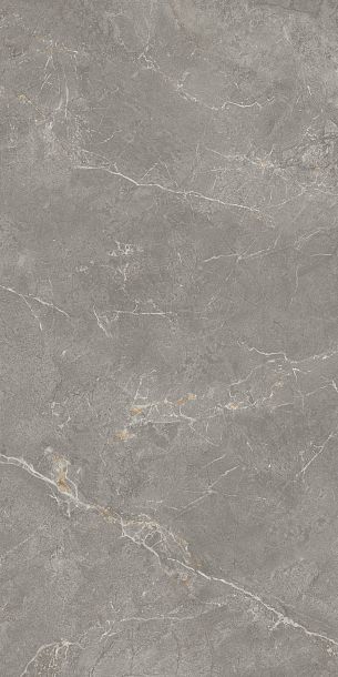 Фото Керамогранит Kerama Marazzi Бриансон серый матовый обрезной 80x160x0,9 (KM8016G0281R) Россия