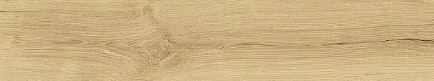 Фото Керамогранит Dune 189004 Quercus Naturale 22x120 Испания