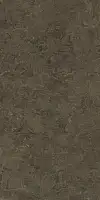 Фото Керамогранит Protiles PT12F7039 Neapol Brown Matt 1200х600х9