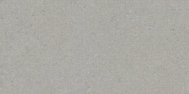 Фото Декор Tau Ceramica DC. Calcare Silver 60x120 Испания