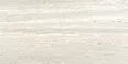 Керамогранит Ariana Ceramica 0010008 Dorica Avorio Nat Rett 60x120