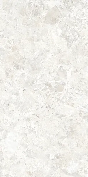 Фото Керамогранит DUE-G Ceramiche 106516 BP White Matt 8.5mm 60x120 Италия