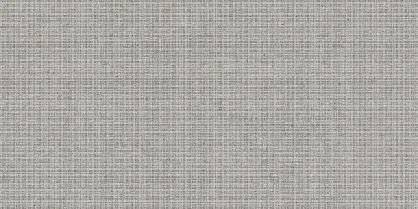 Фото Декор Tau Ceramica DC. Calcare Silver 60x120 Испания