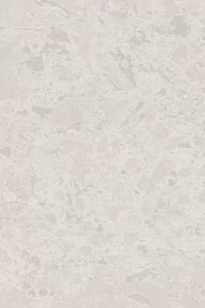 Фото Плитка 8349 Ферони серый светлый матовый 20x30 Россия