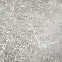 Фото Керамогранит Albury Gray 60x60