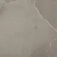 Керамогранит PASSION LUX 60 TAUPE 60*60 Фото Керамогранит PASSION LUX 60 TAUPE 60*60