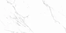 Фото Керамогранит Statuario Justice Grey Белый Матовый 60x120 (х9999304616)