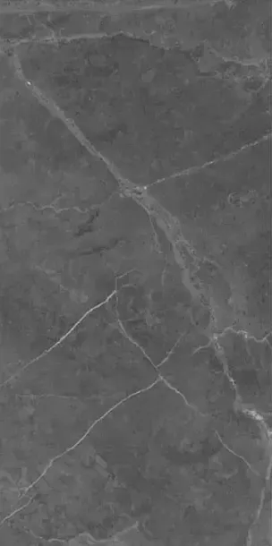 Фото Керамогранит Berrys Graffite High gloss 60x120 Индия