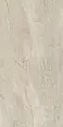Керамогранит Century 144807 Cristalia Metrix Natural Evolution Rect 60x120