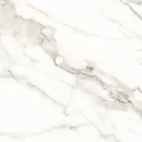 Керамогранит ZERDE TILE Carrara Baze White 60x60 Казахстан Фото Керамогранит ZERDE TILE Carrara Baze White 60x60