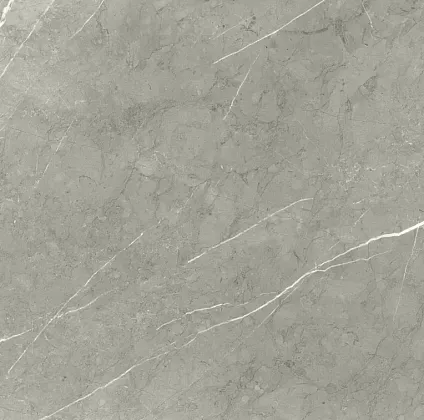 Фото Керамогранит Bright And Shiny 60x60 (BB6NTT9102P) Китай