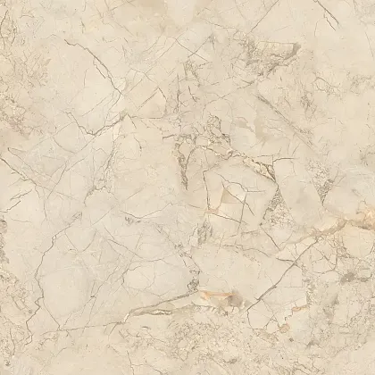 Фото Керамогранит Ivory Endless Mat 60x60 (NTT995150M) Индия