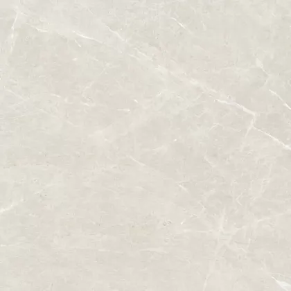 Фото Керамогранит Eternal ETSTN1226GL6060 Liceo Pearl Glossy 60x60 Индия