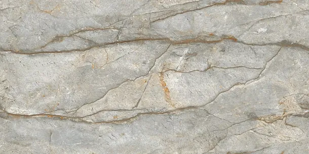 Фото Керамогранит Forest Carving 60x120 (NTT99517M) Индия