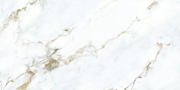 Фото Керамогранит Statuario Martin Полированный 60х120 Индия