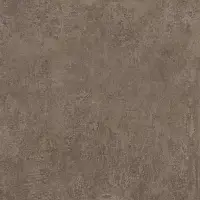 Фото Керамогранит SG455420N Геркуланум коричневый 50,2x50,2x8,5