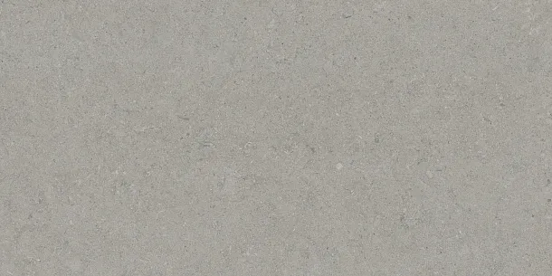 Фото Керамогранит Tau Ceramica Calcare Silver 60x120 Испания