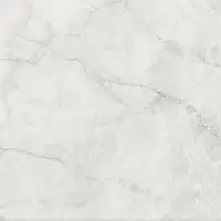 Фото Керамогранит Pamesa 033.120.0108.00569 Hermes White Antic 120x120